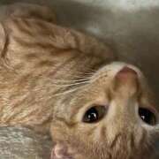 ヒメ日記 2025/07/12 23:14 投稿 ちはや 即アポ奥さん〜名古屋店〜