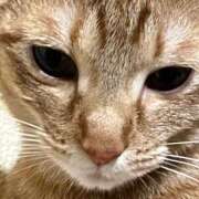 ヒメ日記 2025/07/18 13:26 投稿 ちはや 即アポ奥さん〜名古屋店〜