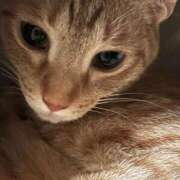 ヒメ日記 2025/08/12 14:44 投稿 ちはや 即アポ奥さん〜名古屋店〜