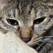 ヒメ日記 2025/08/14 23:51 投稿 ちはや 即アポ奥さん〜名古屋店〜