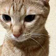 ヒメ日記 2025/08/19 13:57 投稿 ちはや 即アポ奥さん〜名古屋店〜