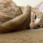 ヒメ日記 2025/08/20 23:51 投稿 ちはや 即アポ奥さん〜名古屋店〜