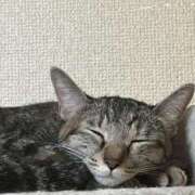 ヒメ日記 2025/08/23 00:51 投稿 ちはや 即アポ奥さん〜名古屋店〜