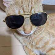 ヒメ日記 2025/08/28 16:01 投稿 ちはや 即アポ奥さん〜名古屋店〜