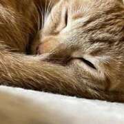 ヒメ日記 2025/08/30 23:41 投稿 ちはや 即アポ奥さん〜名古屋店〜