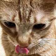 ヒメ日記 2025/08/31 23:41 投稿 ちはや 即アポ奥さん〜名古屋店〜