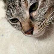 ヒメ日記 2025/09/07 21:57 投稿 ちはや 即アポ奥さん〜名古屋店〜