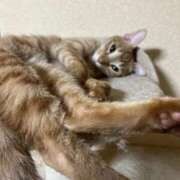 ヒメ日記 2025/09/09 00:46 投稿 ちはや 即アポ奥さん〜名古屋店〜