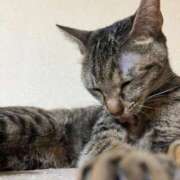 ヒメ日記 2025/09/10 00:41 投稿 ちはや 即アポ奥さん〜名古屋店〜