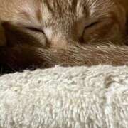 ヒメ日記 2025/09/10 02:01 投稿 ちはや 即アポ奥さん〜名古屋店〜