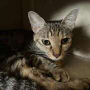 ヒメ日記 2025/09/10 11:01 投稿 ちはや 即アポ奥さん〜名古屋店〜