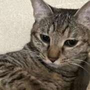 ヒメ日記 2025/09/11 02:21 投稿 ちはや 即アポ奥さん〜名古屋店〜