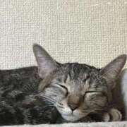 ヒメ日記 2025/09/14 00:21 投稿 ちはや 即アポ奥さん〜名古屋店〜