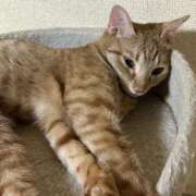 ヒメ日記 2025/09/24 12:01 投稿 ちはや 即アポ奥さん〜名古屋店〜