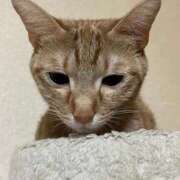 ヒメ日記 2025/09/25 23:31 投稿 ちはや 即アポ奥さん〜名古屋店〜