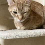 ヒメ日記 2025/09/26 13:02 投稿 ちはや 即アポ奥さん〜名古屋店〜