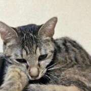 ヒメ日記 2025/09/27 12:51 投稿 ちはや 即アポ奥さん〜名古屋店〜