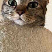 ヒメ日記 2025/09/27 18:51 投稿 ちはや 即アポ奥さん〜名古屋店〜