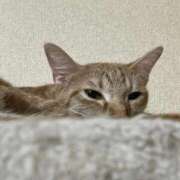 ヒメ日記 2025/09/28 23:51 投稿 ちはや 即アポ奥さん〜名古屋店〜