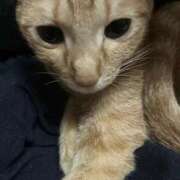 ヒメ日記 2025/09/29 11:58 投稿 ちはや 即アポ奥さん〜名古屋店〜