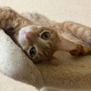 ヒメ日記 2025/09/29 23:41 投稿 ちはや 即アポ奥さん〜名古屋店〜