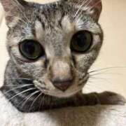 ヒメ日記 2025/09/30 13:55 投稿 ちはや 即アポ奥さん〜名古屋店〜