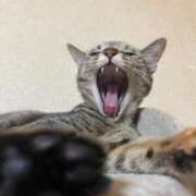 ヒメ日記 2025/09/30 23:51 投稿 ちはや 即アポ奥さん〜名古屋店〜