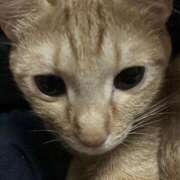 ヒメ日記 2025/10/04 10:21 投稿 ちはや 即アポ奥さん〜名古屋店〜