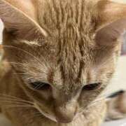 ヒメ日記 2025/10/05 22:40 投稿 ちはや 即アポ奥さん〜名古屋店〜