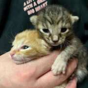 ヒメ日記 2025/10/06 13:31 投稿 ちはや 即アポ奥さん〜名古屋店〜