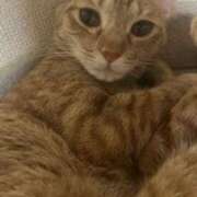 ヒメ日記 2025/10/08 17:26 投稿 ちはや 即アポ奥さん〜名古屋店〜