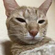 ヒメ日記 2025/10/09 02:41 投稿 ちはや 即アポ奥さん〜名古屋店〜