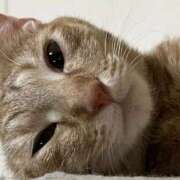 ヒメ日記 2025/10/09 19:51 投稿 ちはや 即アポ奥さん〜名古屋店〜