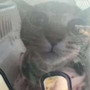 ヒメ日記 2025/10/10 10:53 投稿 ちはや 即アポ奥さん〜名古屋店〜