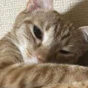 ヒメ日記 2025/10/11 11:41 投稿 ちはや 即アポ奥さん〜名古屋店〜