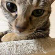 ヒメ日記 2025/10/12 00:01 投稿 ちはや 即アポ奥さん〜名古屋店〜