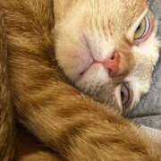 ヒメ日記 2025/10/14 11:41 投稿 ちはや 即アポ奥さん〜名古屋店〜