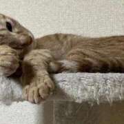 ヒメ日記 2025/10/15 10:42 投稿 ちはや 即アポ奥さん〜名古屋店〜