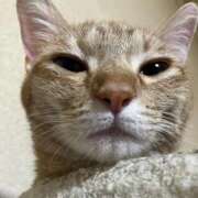 ヒメ日記 2025/10/18 00:41 投稿 ちはや 即アポ奥さん〜名古屋店〜