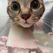 ヒメ日記 2025/10/18 14:31 投稿 ちはや 即アポ奥さん〜名古屋店〜