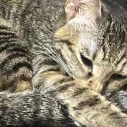 ヒメ日記 2025/10/20 11:55 投稿 ちはや 即アポ奥さん〜名古屋店〜