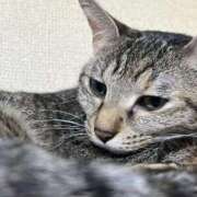 ヒメ日記 2025/10/20 23:01 投稿 ちはや 即アポ奥さん〜名古屋店〜