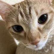 ヒメ日記 2025/10/21 11:21 投稿 ちはや 即アポ奥さん〜名古屋店〜