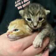 ヒメ日記 2025/10/24 23:51 投稿 ちはや 即アポ奥さん〜名古屋店〜