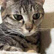 ヒメ日記 2025/10/25 23:23 投稿 ちはや 即アポ奥さん〜名古屋店〜