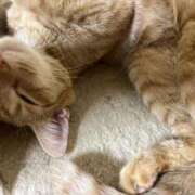 ヒメ日記 2025/10/27 23:11 投稿 ちはや 即アポ奥さん〜名古屋店〜