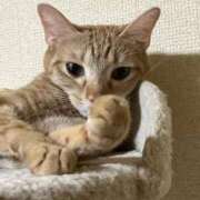 ヒメ日記 2025/11/01 23:51 投稿 ちはや 即アポ奥さん〜名古屋店〜