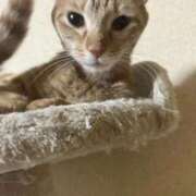 ヒメ日記 2025/11/05 22:45 投稿 ちはや 即アポ奥さん〜名古屋店〜