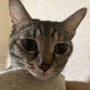 ヒメ日記 2025/11/06 00:51 投稿 ちはや 即アポ奥さん〜名古屋店〜