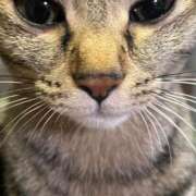 ヒメ日記 2025/11/06 15:21 投稿 ちはや 即アポ奥さん〜名古屋店〜